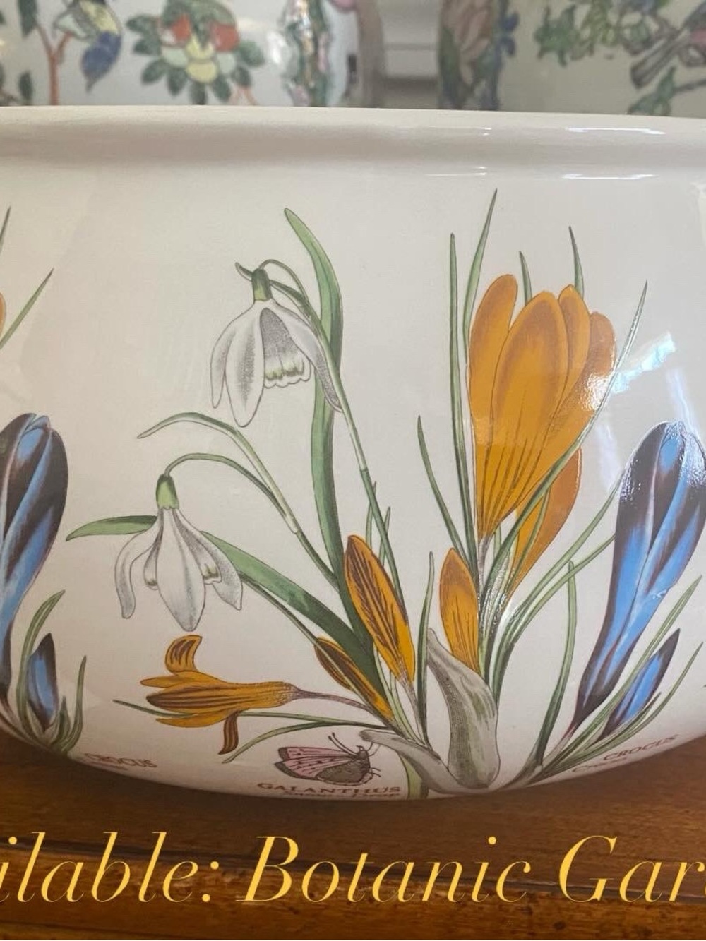 Rare Portmeirion The Botanic Garden Snowdrop&Crocus Planter/Cachepot, England - Picture 7 of 7